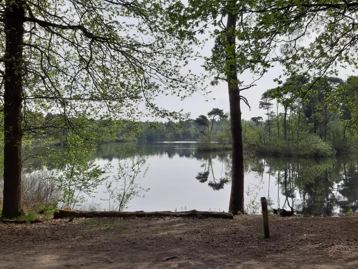 Chalet Blauwborst Oisterwijk Eksteriør bilde